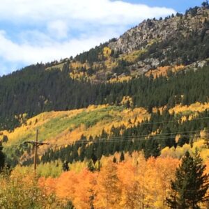Affordable Windows in Denver