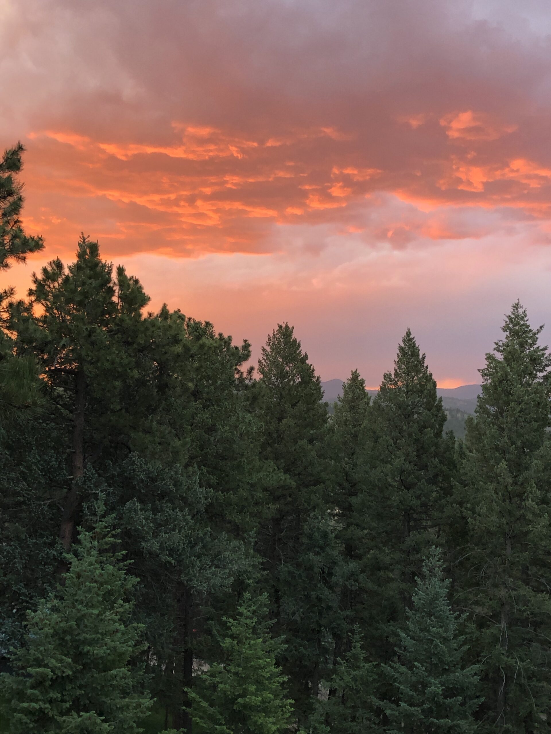 Home Window Repair and Replacement