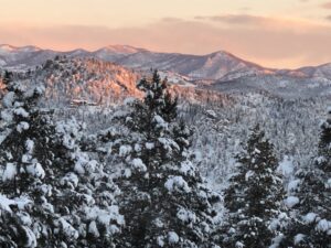 Window Replacement Company