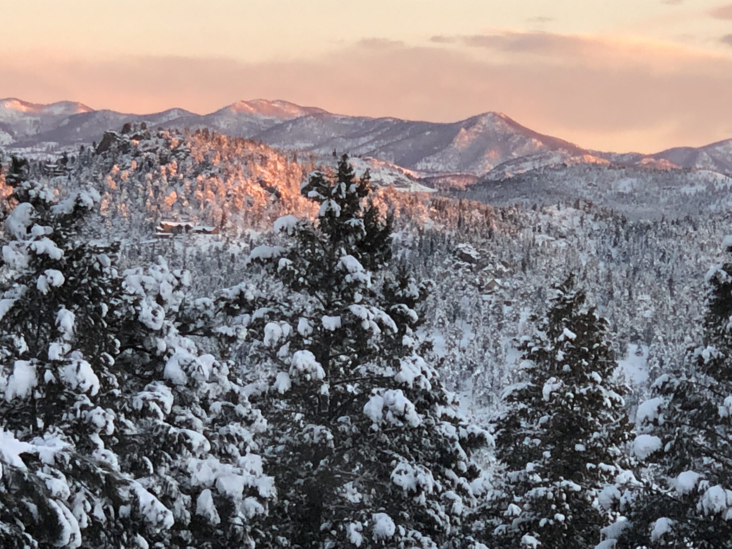 Window Replacement Company