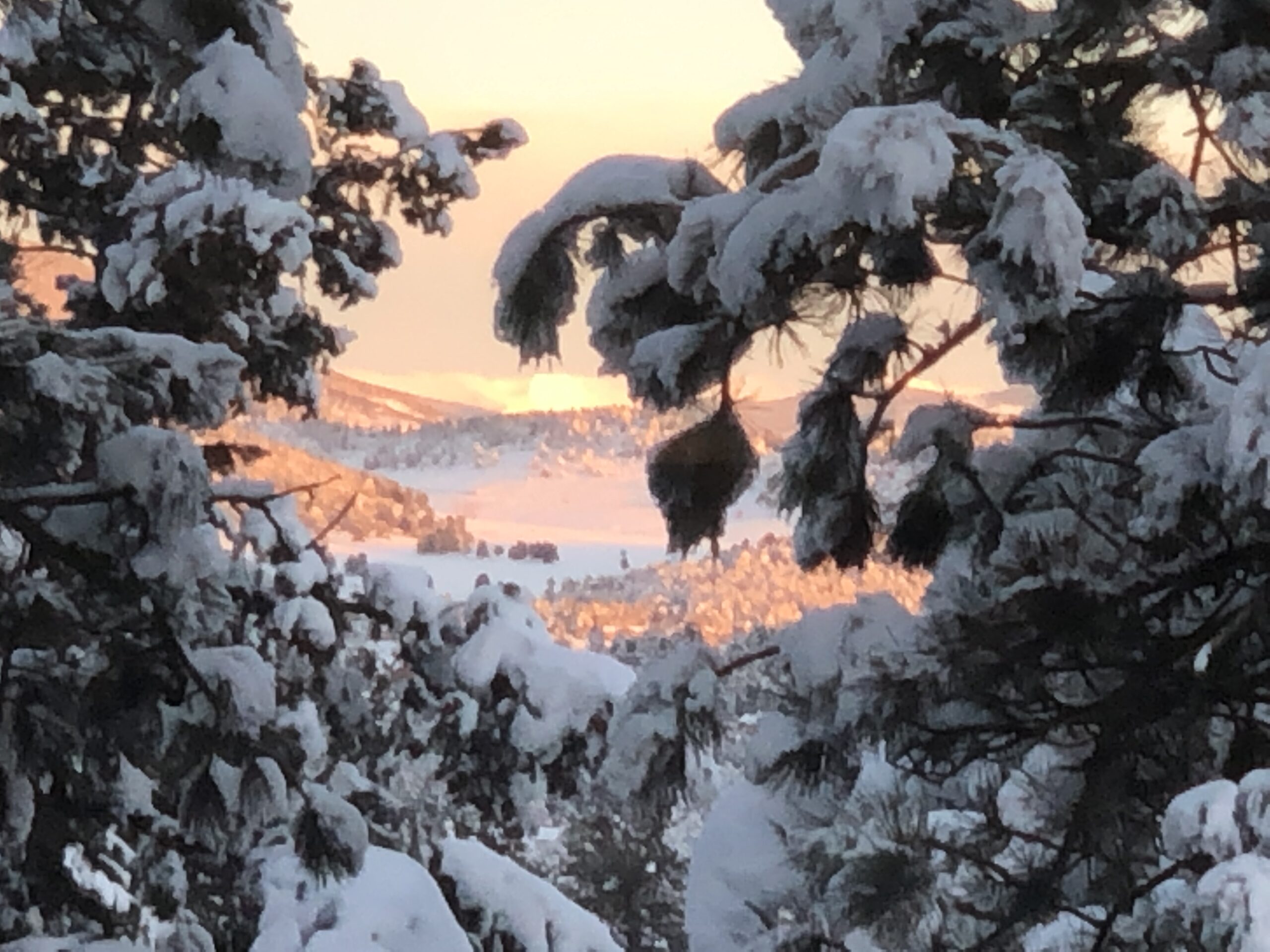 K&K Classic Designs Windows