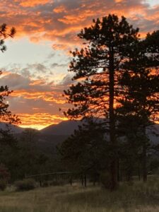 Custom Window Replacements